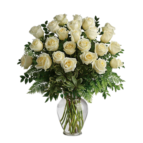 Two Dozen White Roses