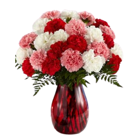 TWO DOZEN CARNATIONS