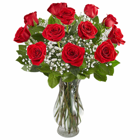 12 Red Roses