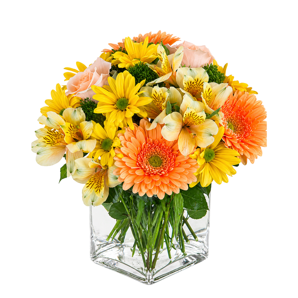 Best Wishes
